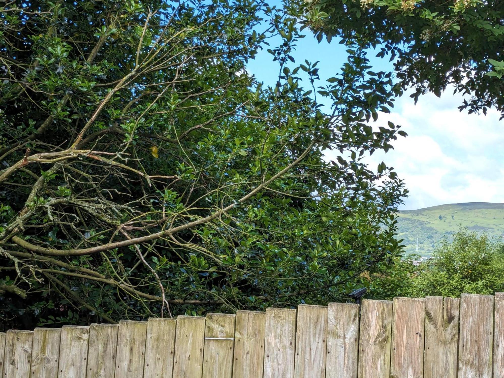 Heart Of Belfast With Private Garden Villa Exteriör bild